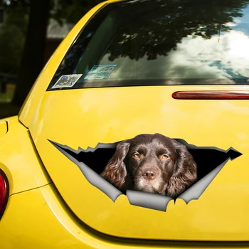 Коричневая Собака Кокер-спаниель 3D Наклейка Забавная Автомобильная Наклейка Водонепроницаемый Авто Декор на Бампер Заднего стекла Ноутбука Выберите Размер #S60468