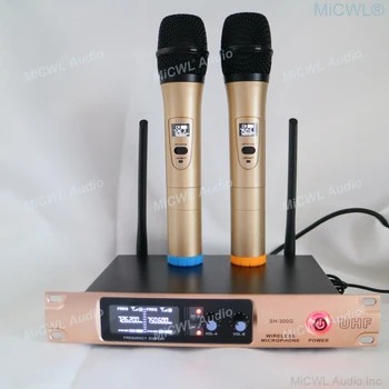 Высококачественная золотая двойная портативная аудиосистема с беспроводным микрофоном для Караоке, домашней церковной школьной конференции, 2 выхода XLR